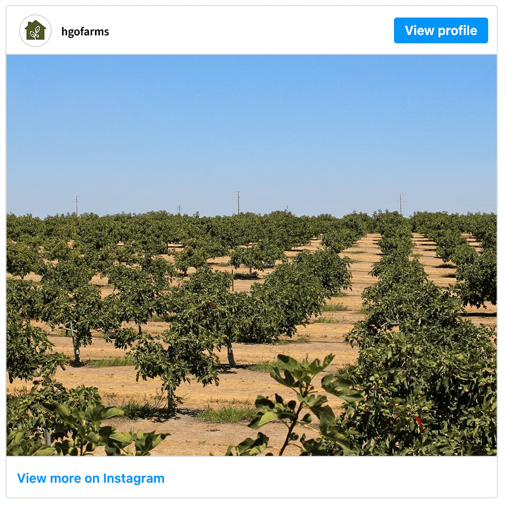 Get social with Homegrown Organic Farms | August 26, 2025 10:30 AM