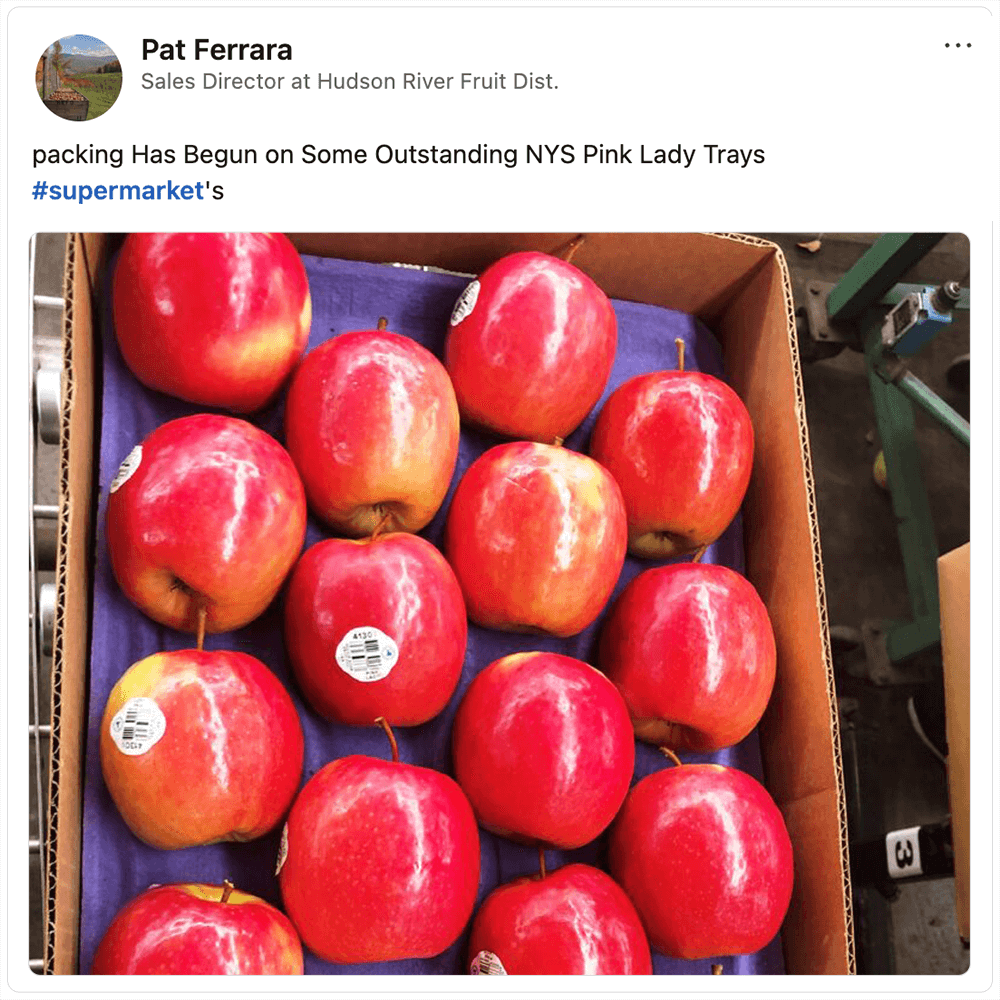 Get social with Hudson River Fruit | November 11, 2025 4:00 AM