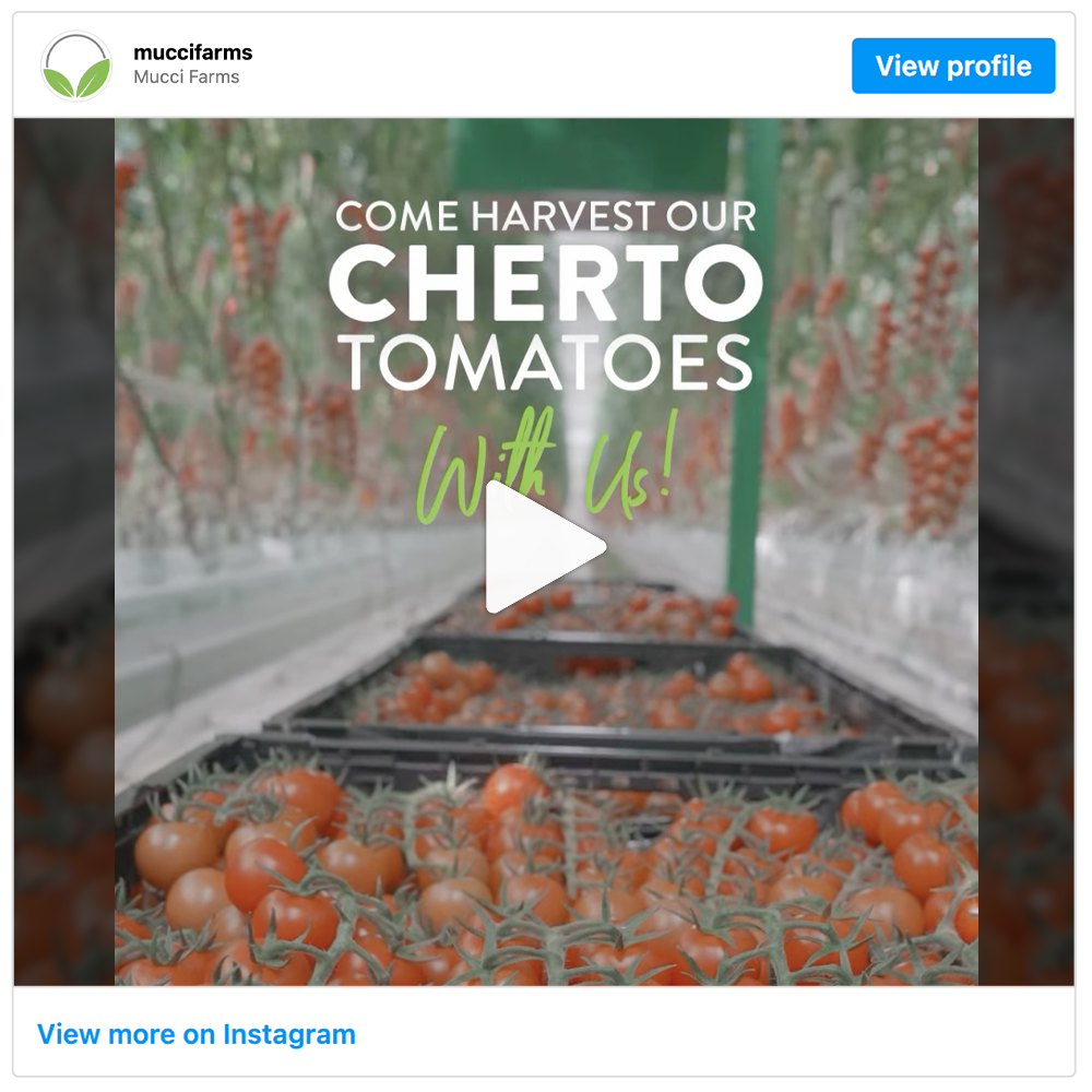 Get social with Mucci Farms | November 26, 2025 5:00 AM
