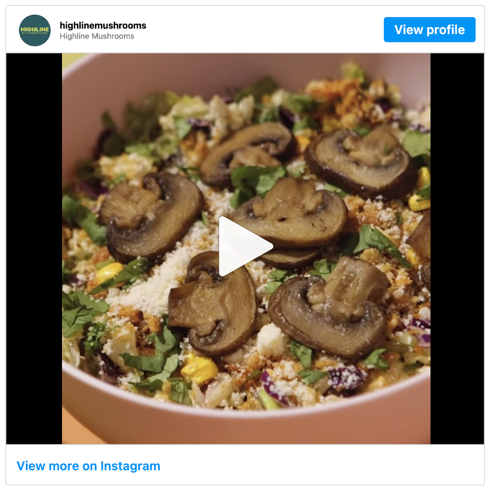 Get social with Highline Mushrooms | December 20, 2024 5:00 AM