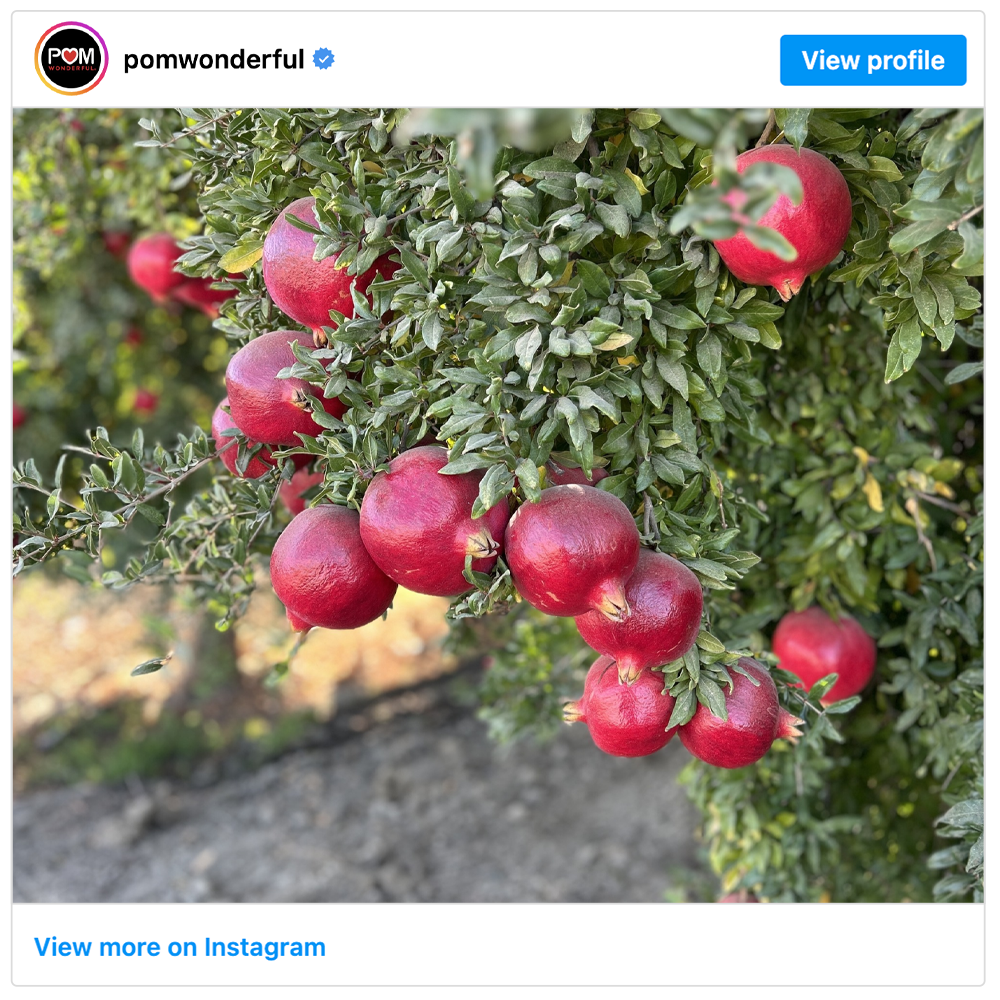 Get social with POM Wonderful  | December 20, 2024 10:30 AM