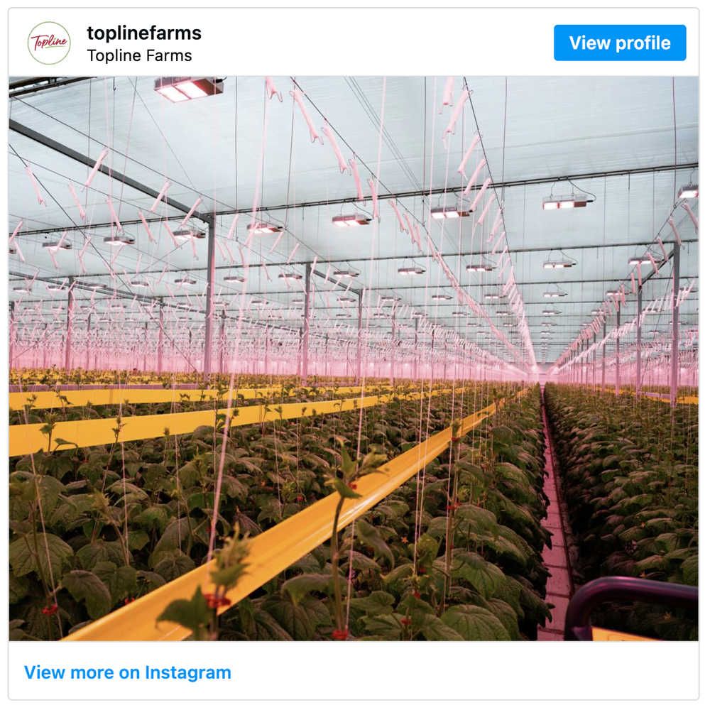 Get social with Westmoreland Sales / Topline Farms | February 6, 2026 10:30 AM