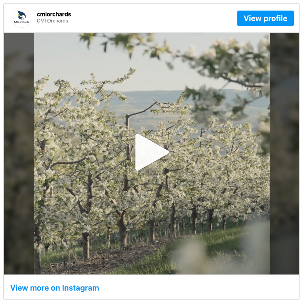 Get social with CMI Orchards LLC | June 30, 2025 10:30 AM