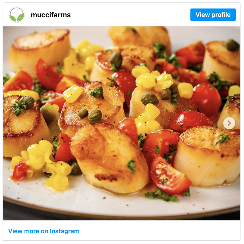 Get social with Mucci Farms | June 25, 2025 5:00 AM