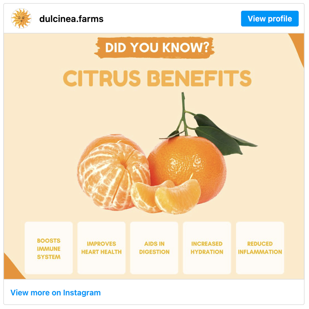 Get social with Dulcinea | August 6, 2025 10:30 AM