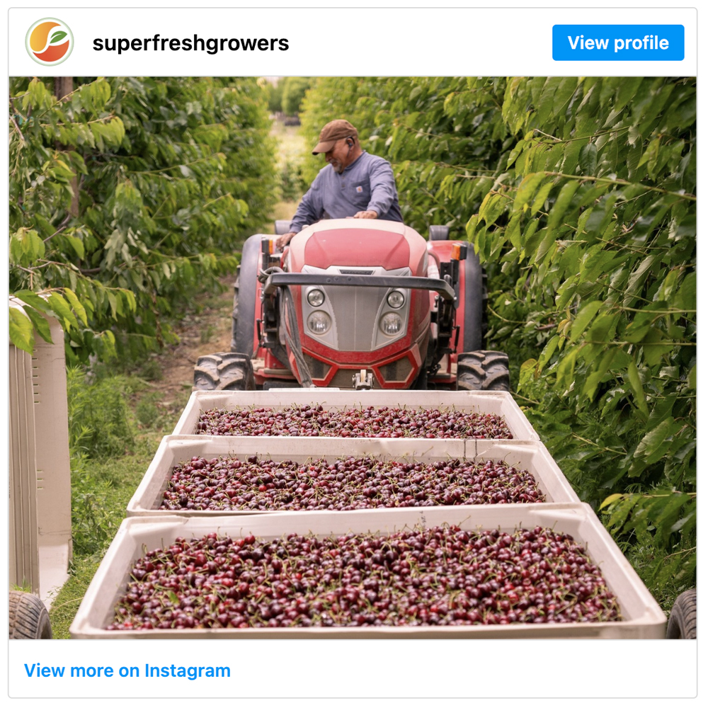 Get social with Superfresh Growers® | August 6, 2025 5:00 AM