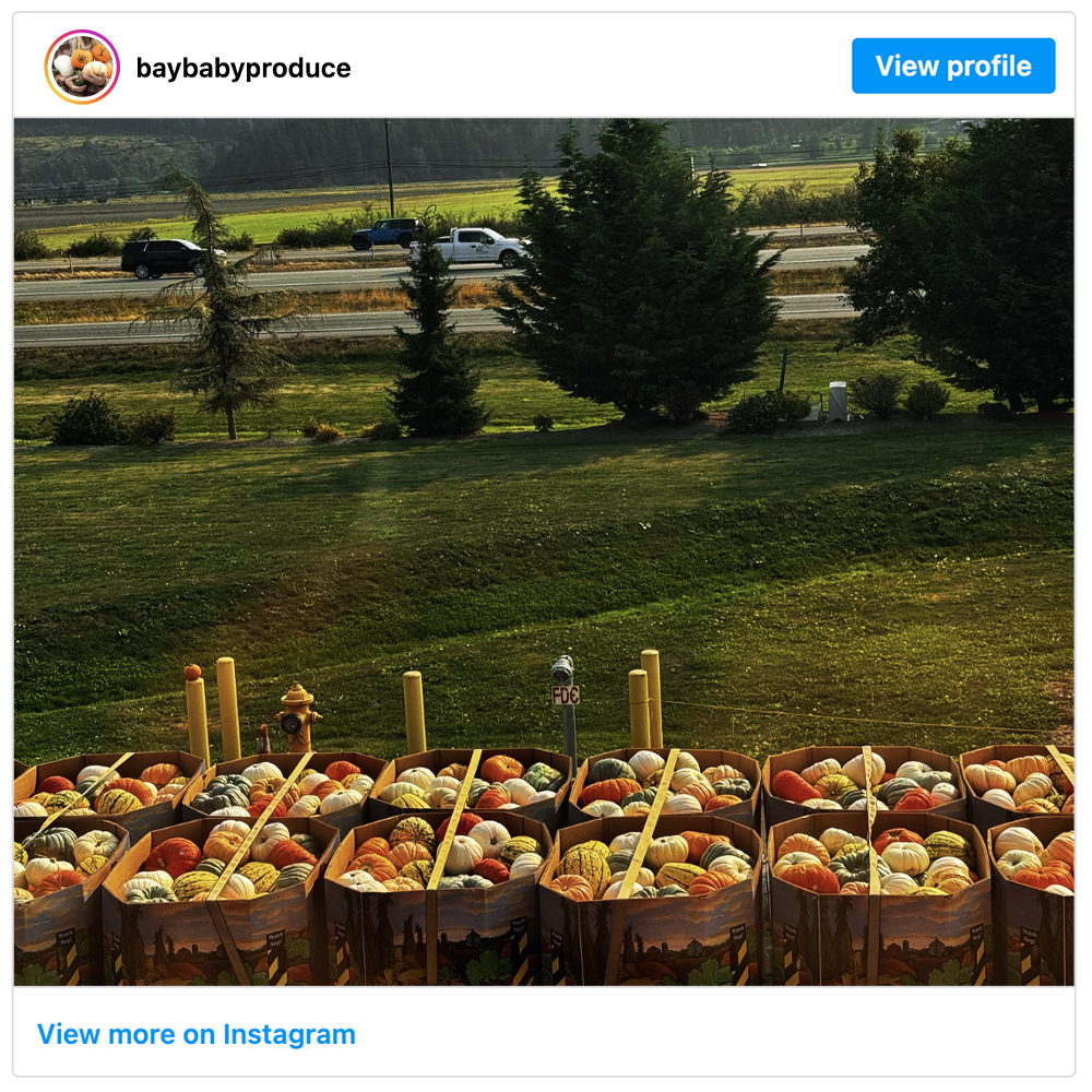 Get social with Bay Baby Produce | September 16, 2025 10:30 AM