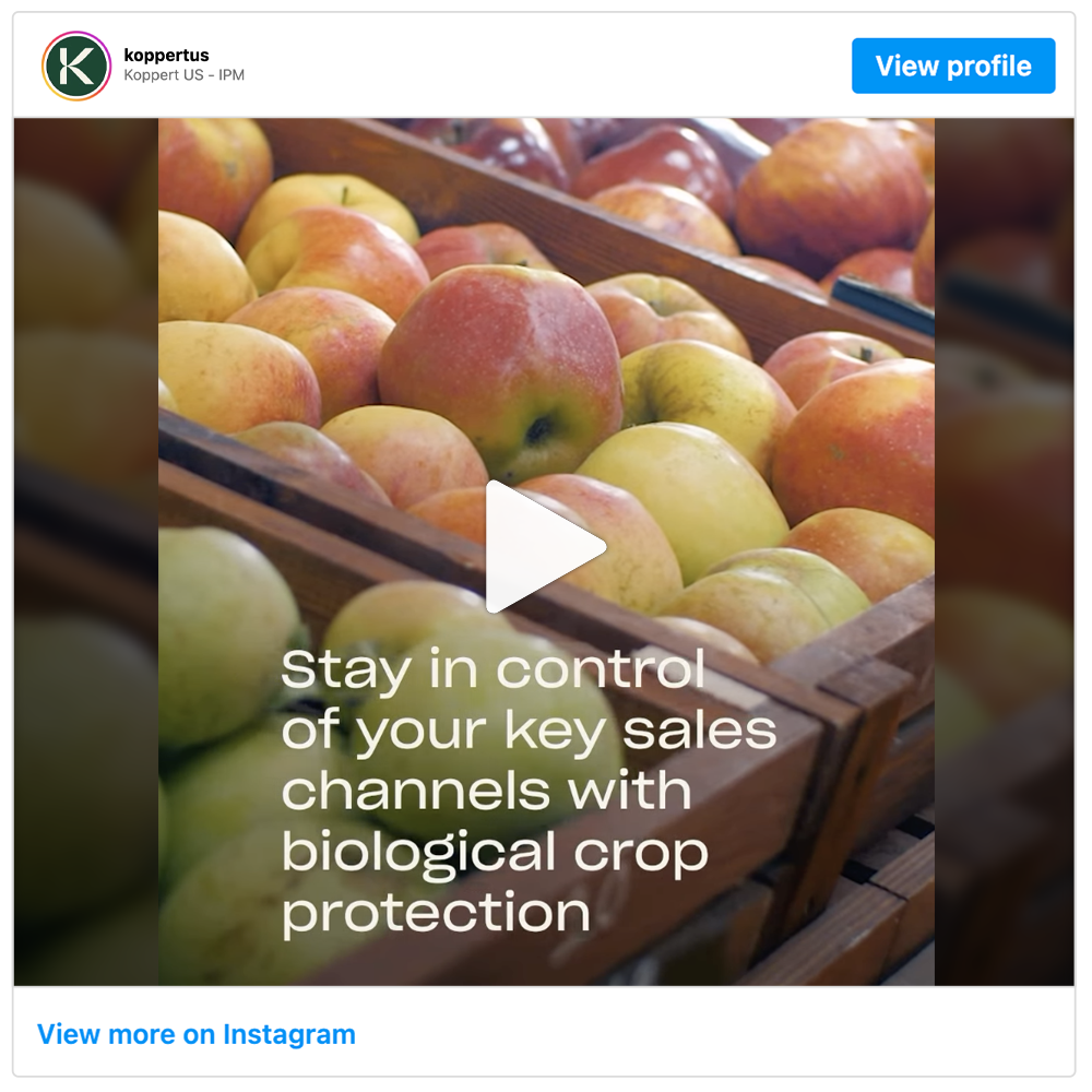 Get social with Produce in the Wild  | September 18, 2025 5:00 AM