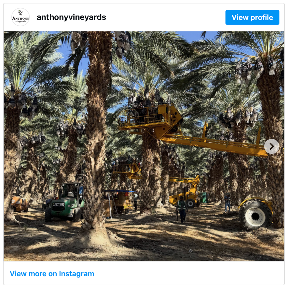 Get social with Anthony Vineyards | September 1, 2026 10:30 AM