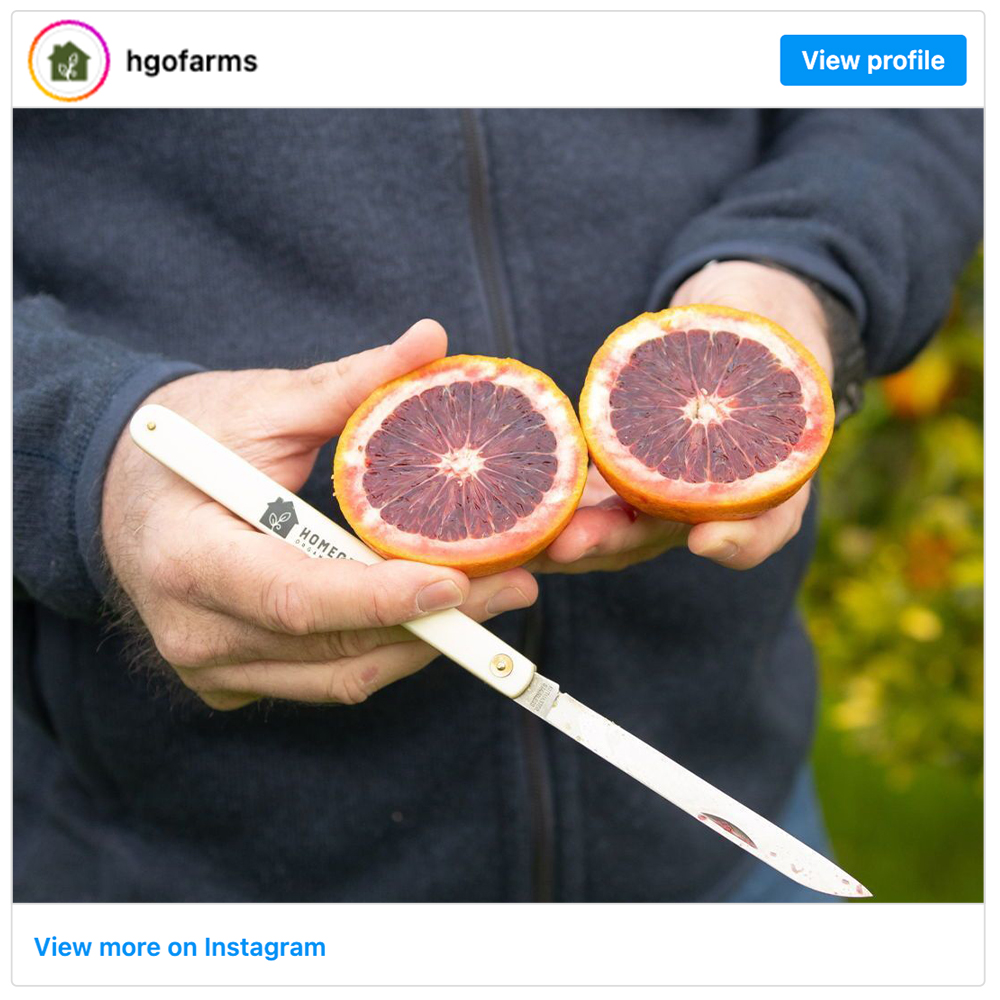 Get social with Homegrown Organic Farms | January 14, 2025 10:30 AM