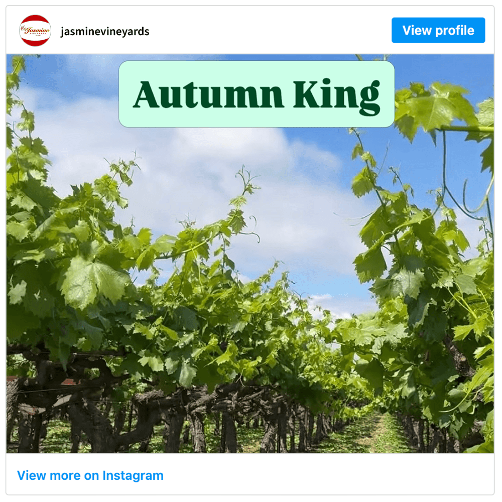 Get social with Jasmine Vineyards | May 7, 2026 5:00 AM