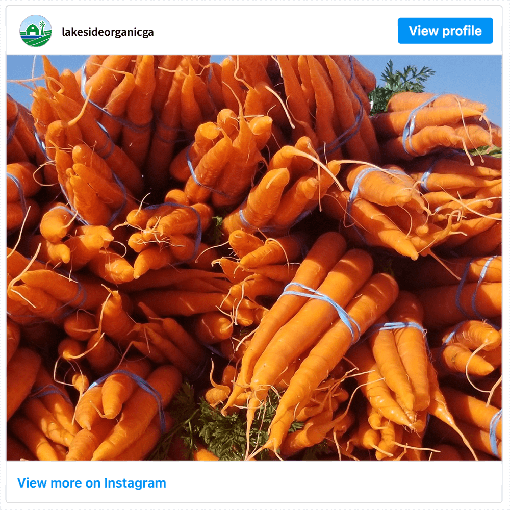 Get social with Lakeside Organic Gardens | April 23, 2025 10:30 AM