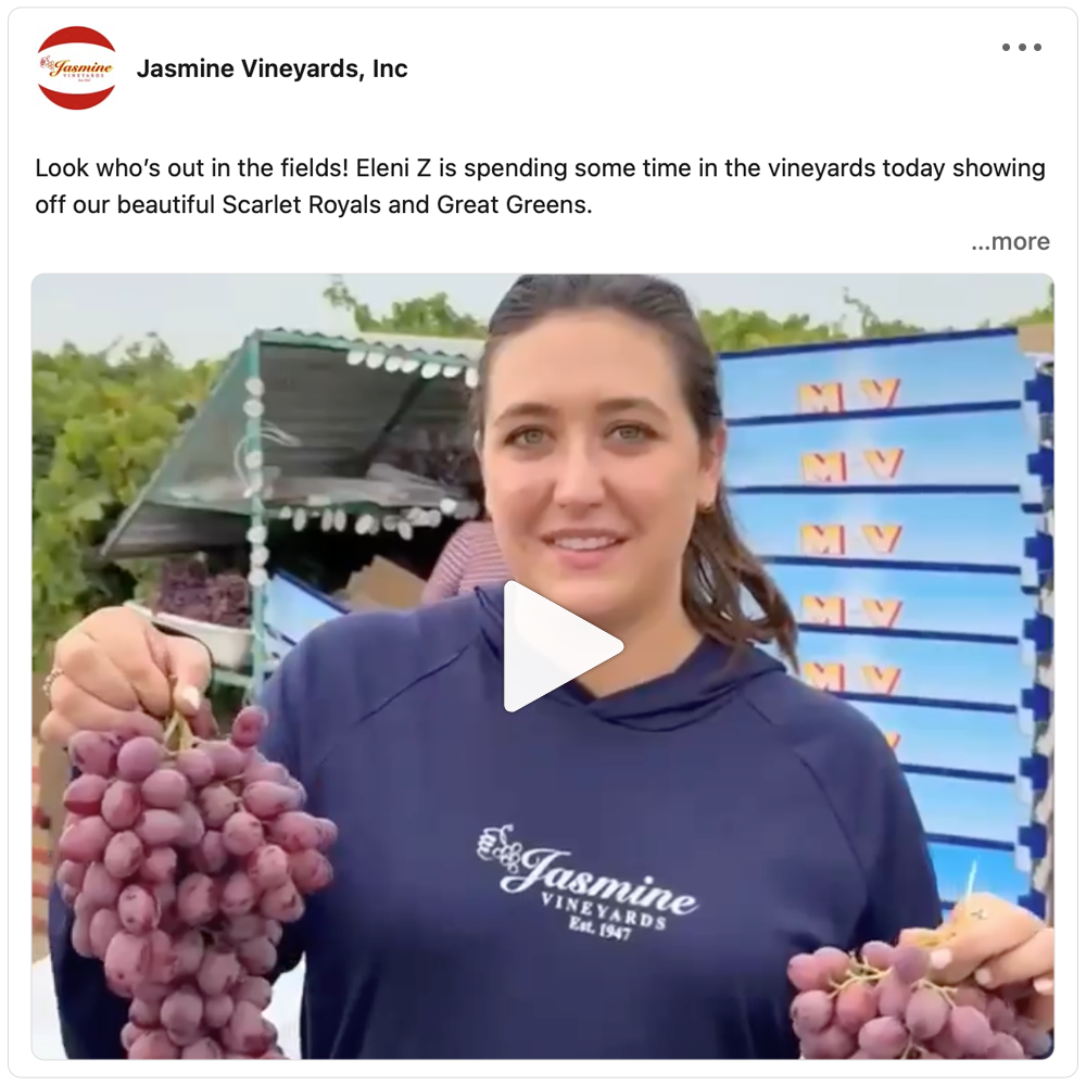 Get social with Jasmine Vineyards | September 2, 2026 10:30 AM