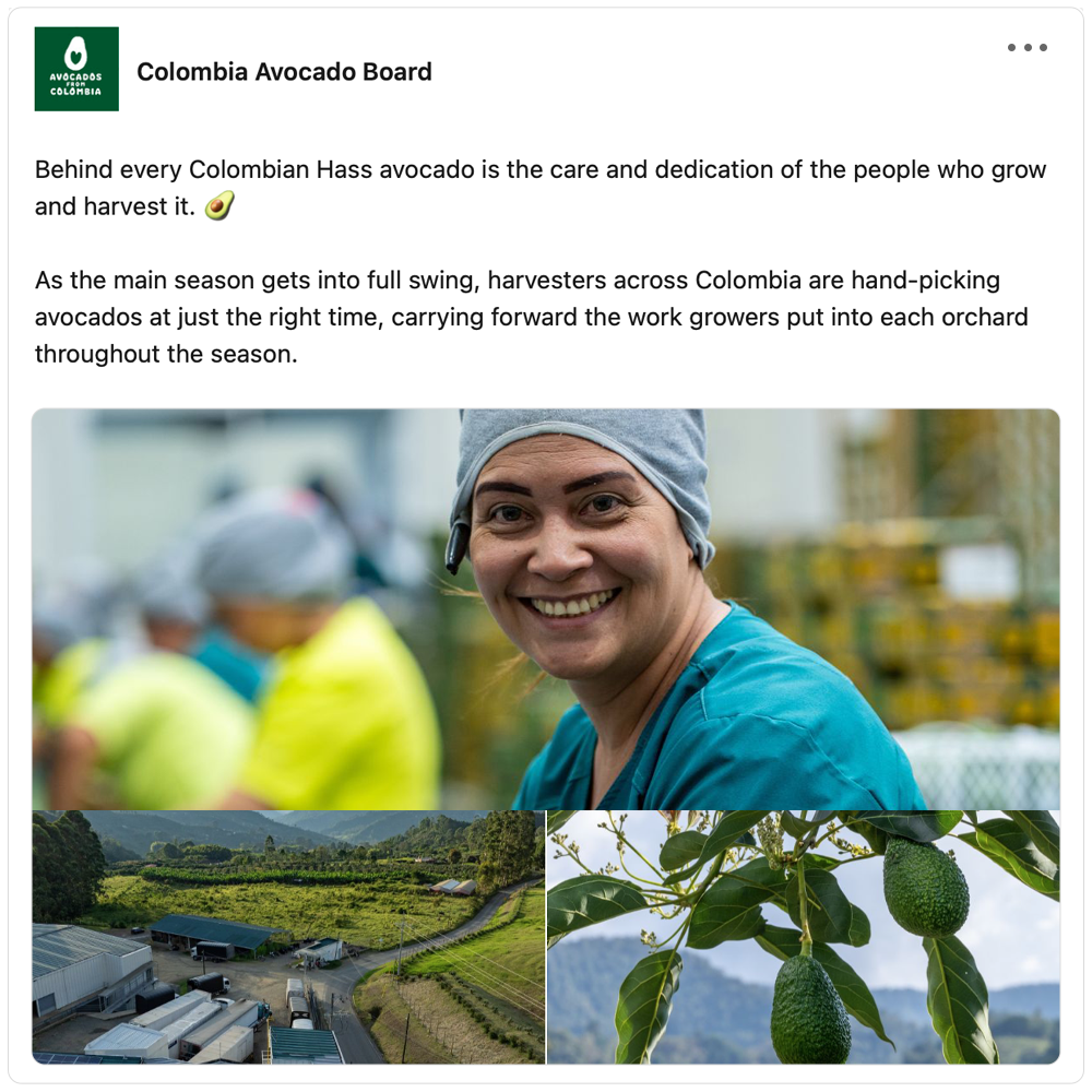 Get social with Colombia Avocado Board | October 7, 2026 10:30 AM