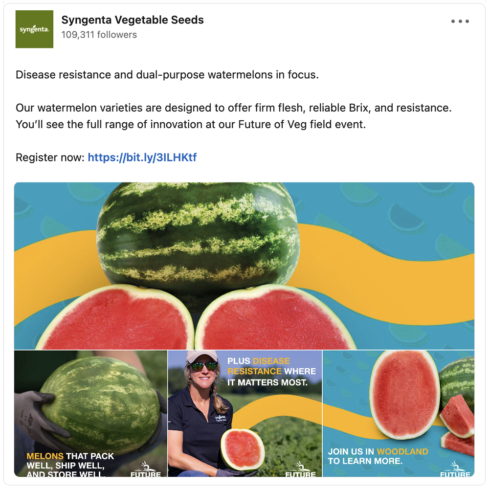Get social with Syngenta Vegetable Seeds | August 5, 2025 5:00 AM