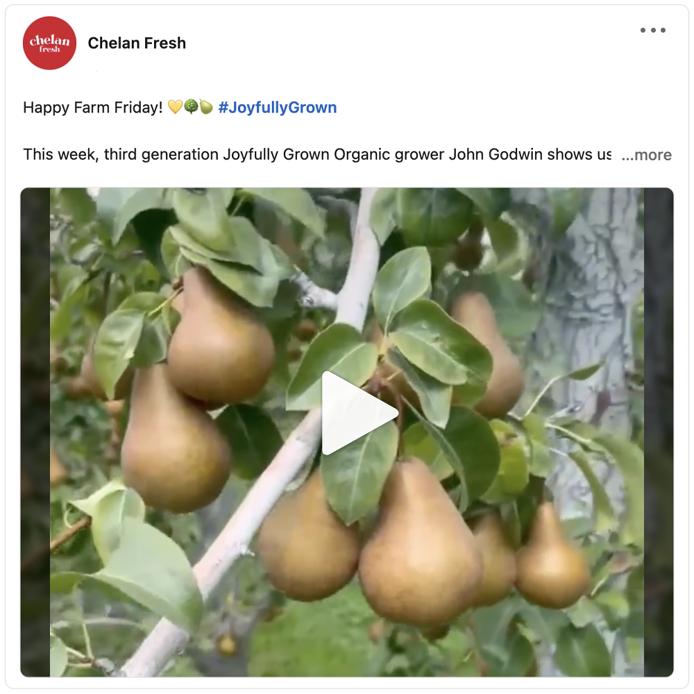 Get social with Chelan Fresh | September 19, 2025 10:30 AM