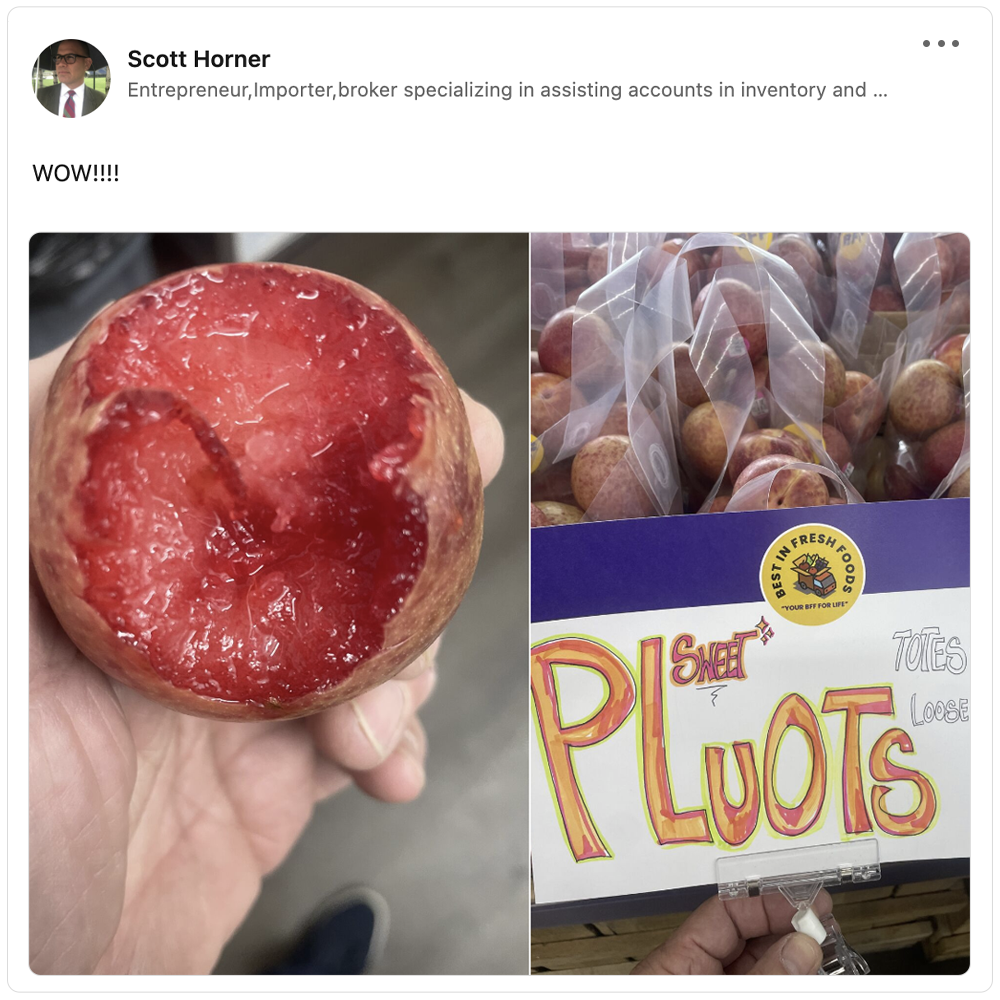 Get social with Produce in the Wild  | September 22, 2025 5:00 AM