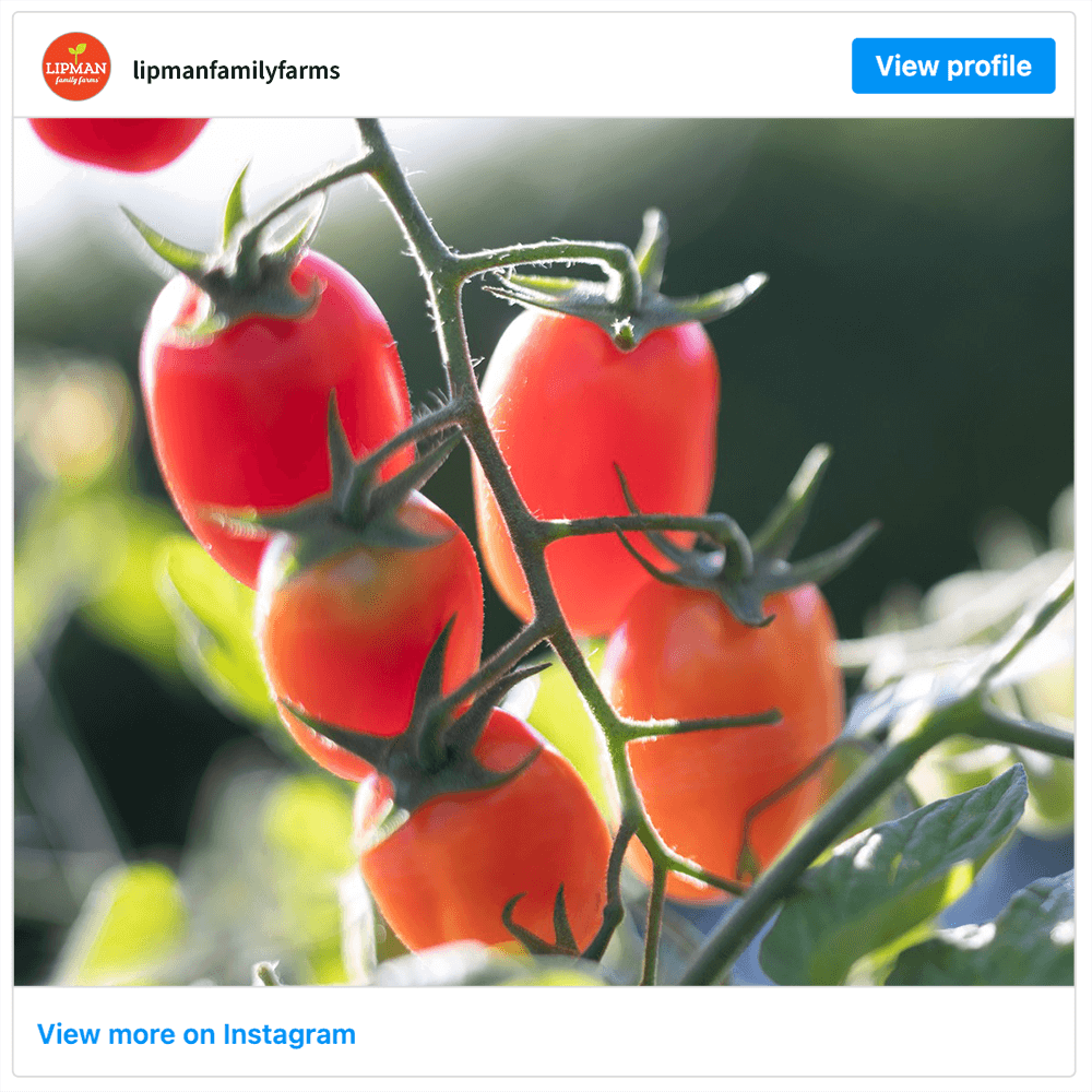Get social with Lipman Produce | November 13, 2025 9:30 AM