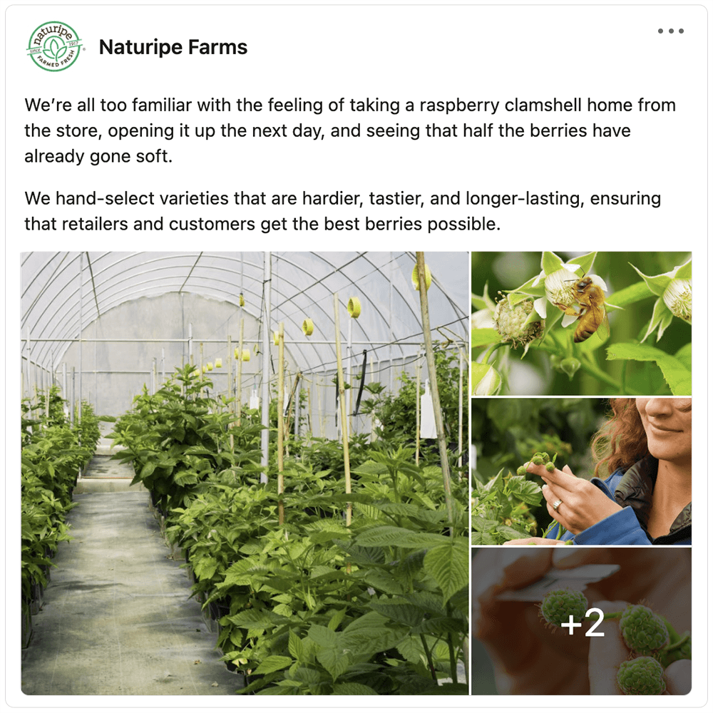 Get social with Naturipe | April 22, 2025 10:30 AM
