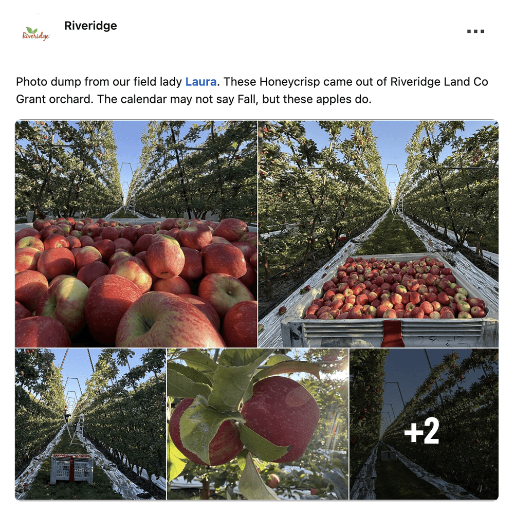 Get social with Riveridge Produce Marketing | September 23, 2026 10:30 AM
