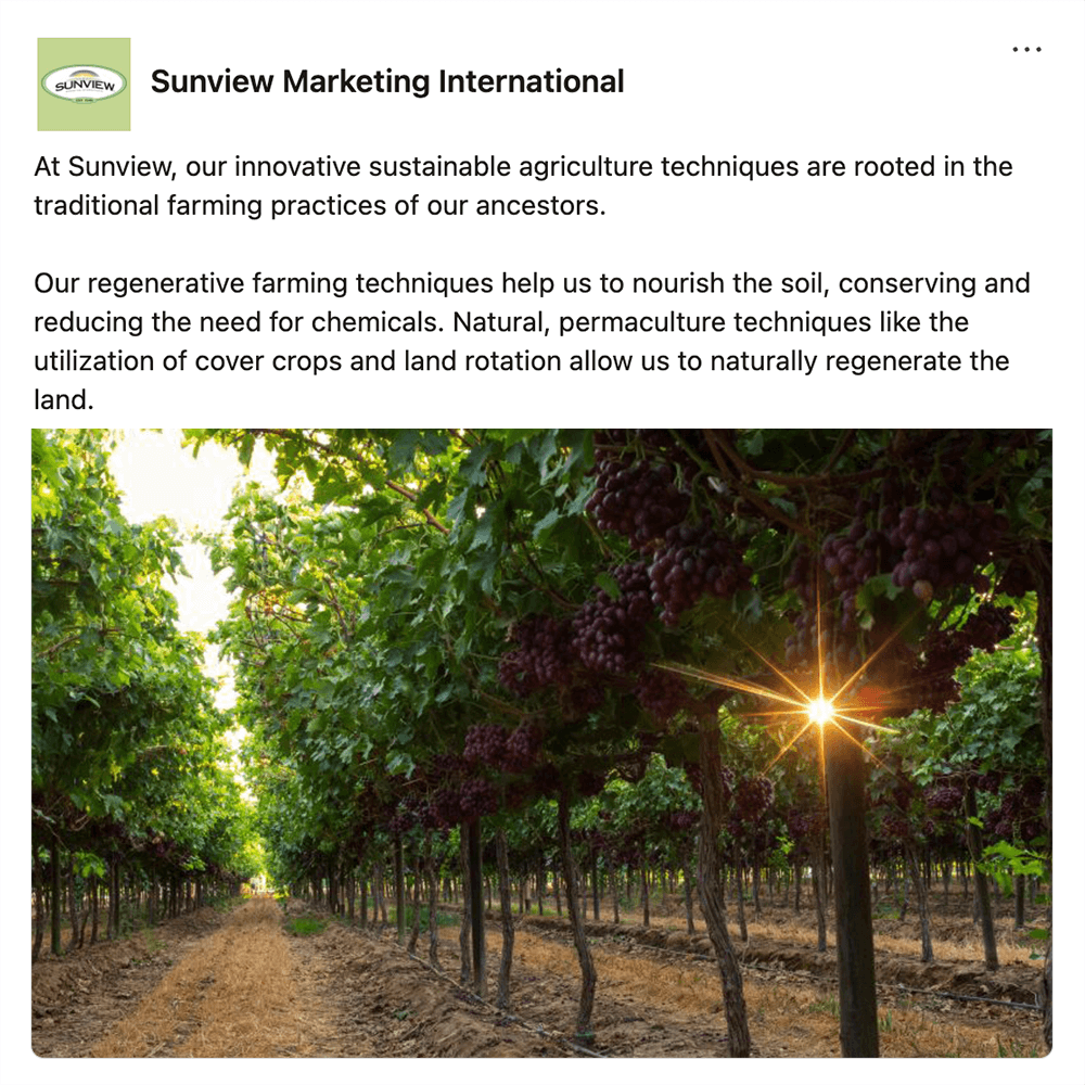 Get social with Sunview Marketing International  | February 24, 2026 10:30 AM