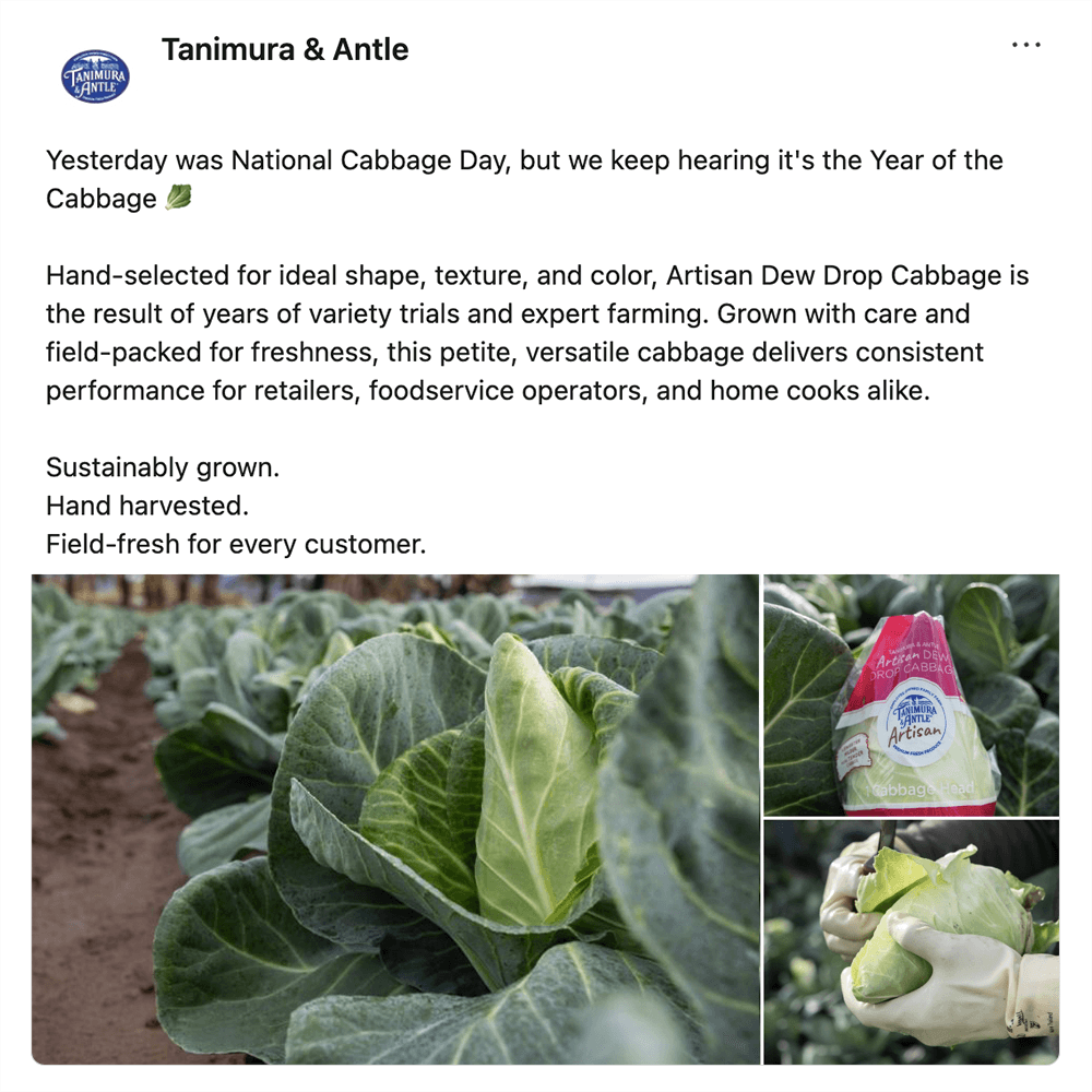 Get social with Tanimura & Antle | February 23, 2026 10:30 AM