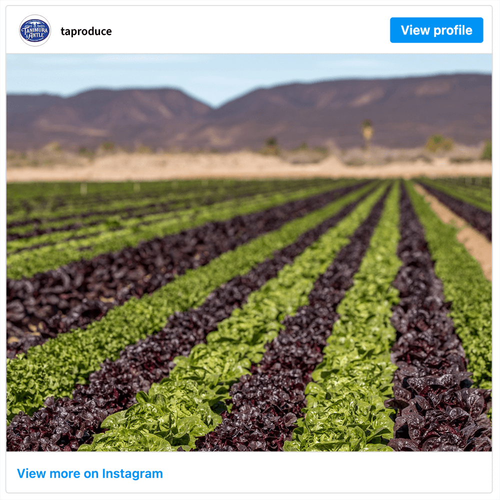 Get social with Tanimura & Antle | January 26, 2026 10:30 AM