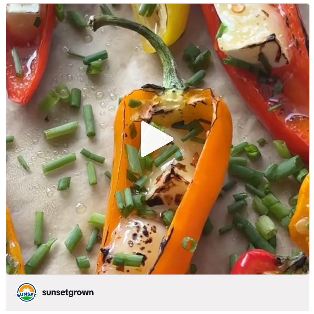Get social with Sunset Mastronardi | December 1, 2025 5:00 AM