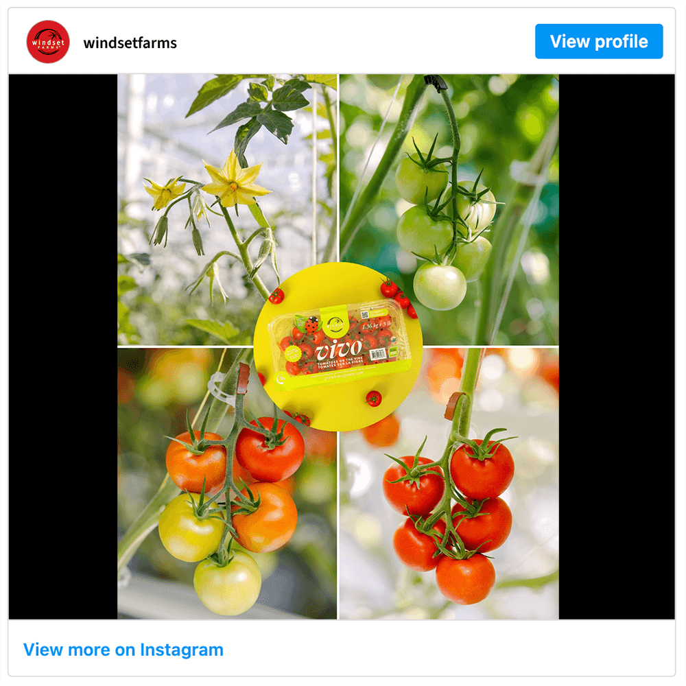 Get social with Windset Farms | October 7, 2025 10:30 AM