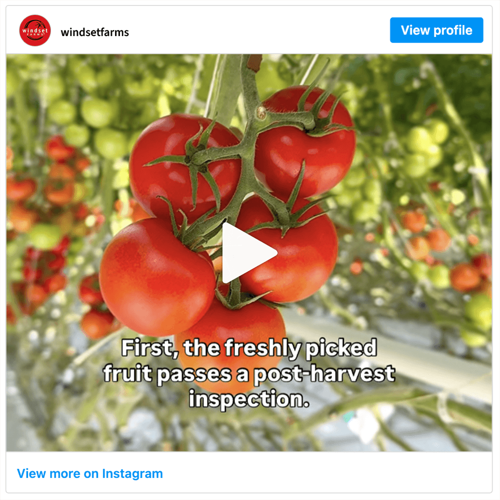 Get social with Windset Farms | November 11, 2025 4:00 AM
