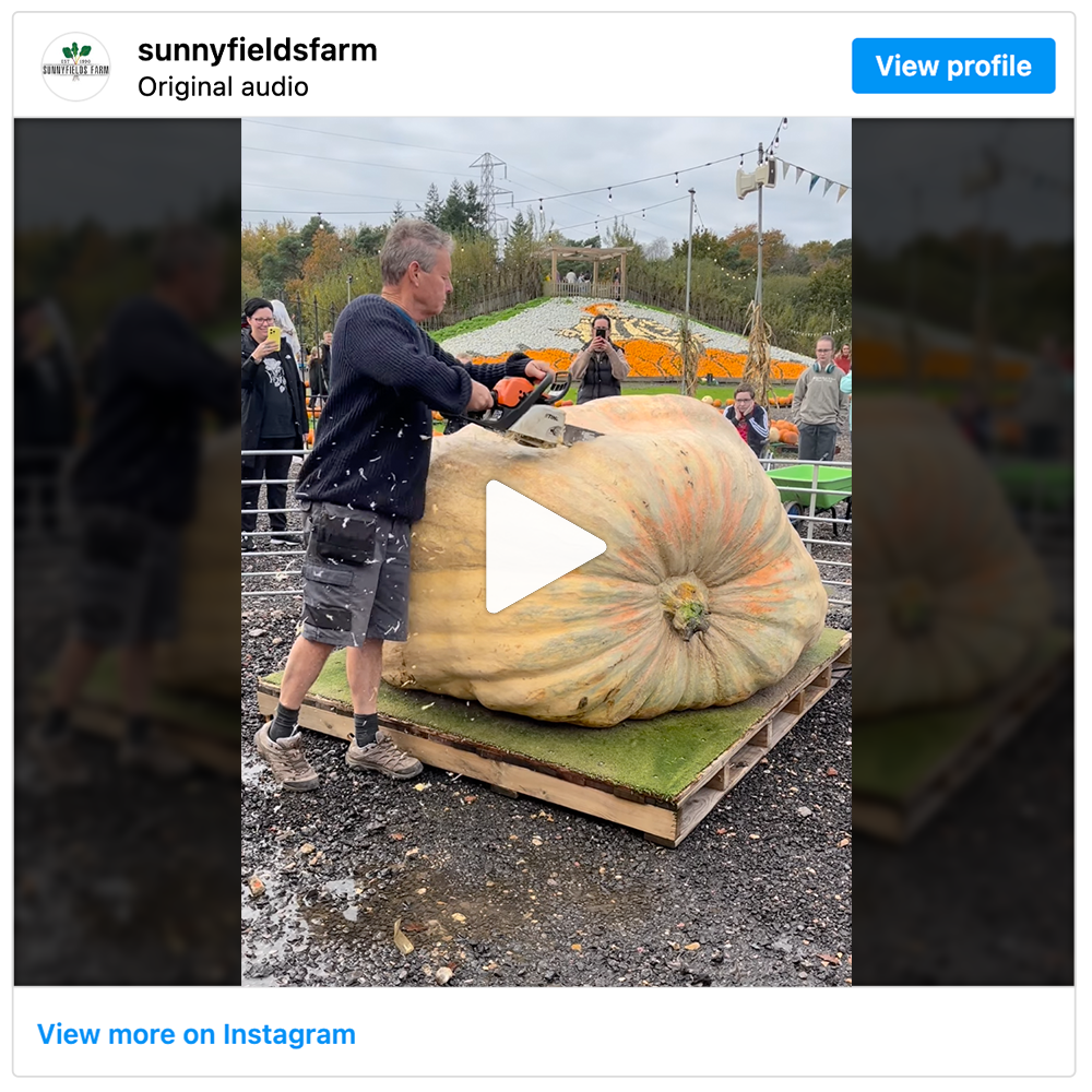 Get social with  Produce in the Wild  | September 25, 2025 5:00 AM