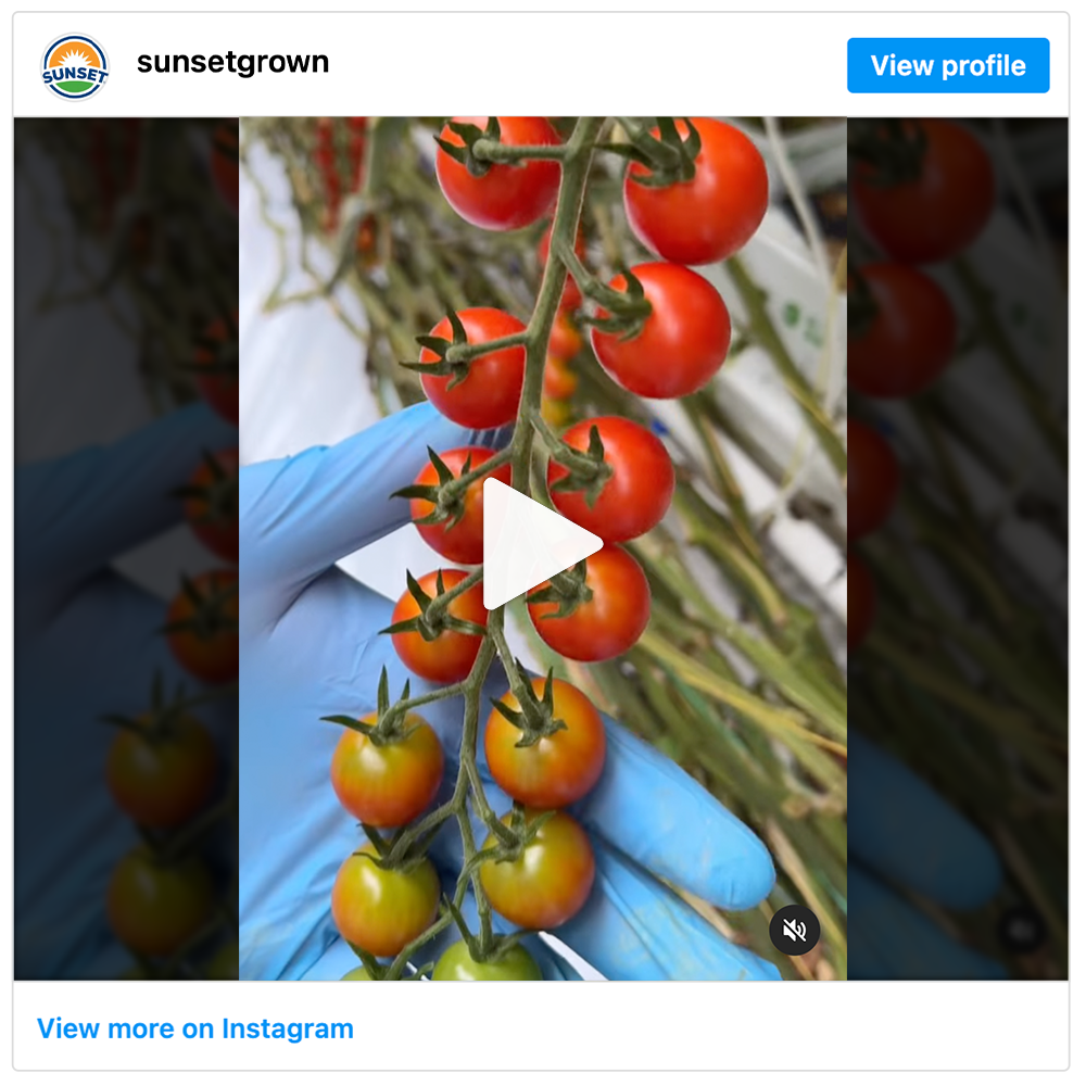 Get social with Sunset Mastronardi | January 3, 2025 10:30 AM