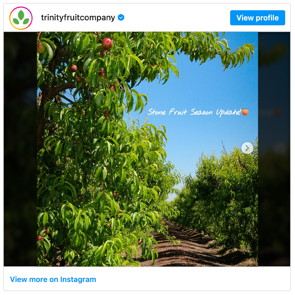Get social with  Trinity Fruit Company | April 23, 2026 10:30 AM