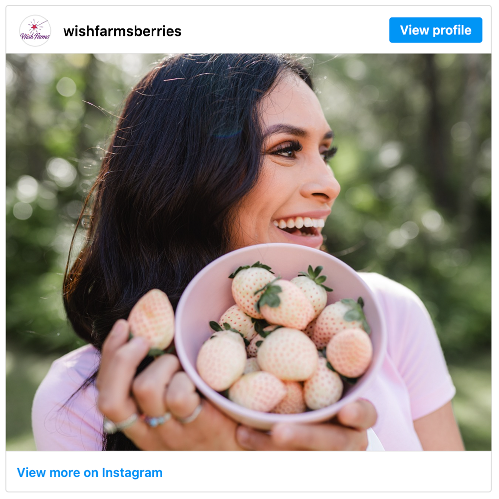 Get social with  Wish Farms | January 6, 2025 5:00 AM