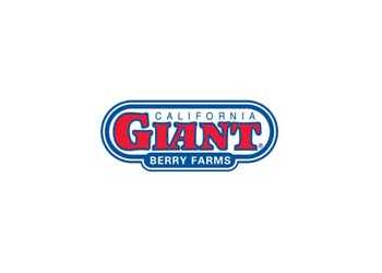 California Giant Berry Farms
