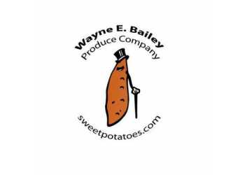 Wayne E. Bailey