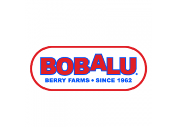 Bobalu