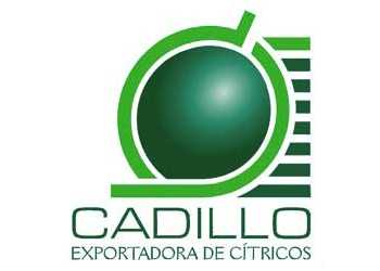 Citricos Cadillo