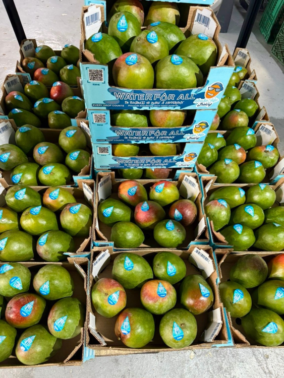 Water For All mangos, in season now and sourced from growers in Mexico, are proof that summer gatherings can make a meaningful difference