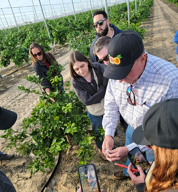 Steven Callaham showing the class the citrus bloom