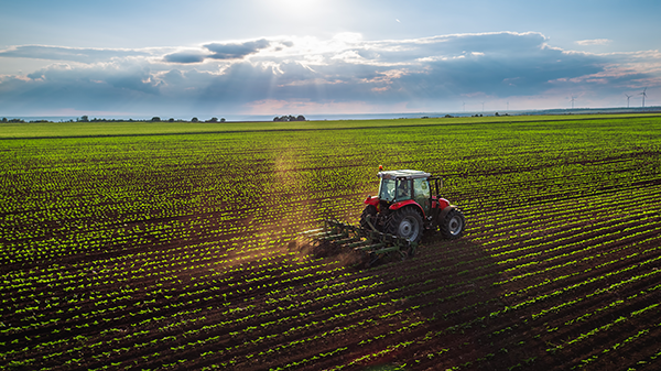 The Ethical Charter Implementation Program (ECIP), overseen by a multistakeholder industry group to build alignment with the Ethical Charter on Responsible Labor Practices and facilitated by Equitable Food Initiative, announces the launch of a new platform for farm labor contractors