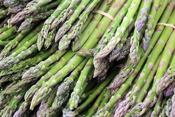 Asparagus supplies remained limited across key shipping and import regions, with Mexican volume too light to establish a market and Peruvian product holding about steady