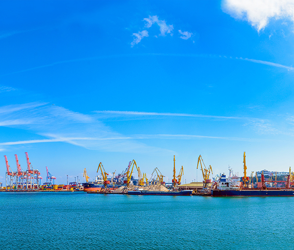 According to Fresh Del Monte, these shipping disruptions are causing severe congestion as well as delays for vessels for up to five days, which is driving up costs across the produce supply chain
