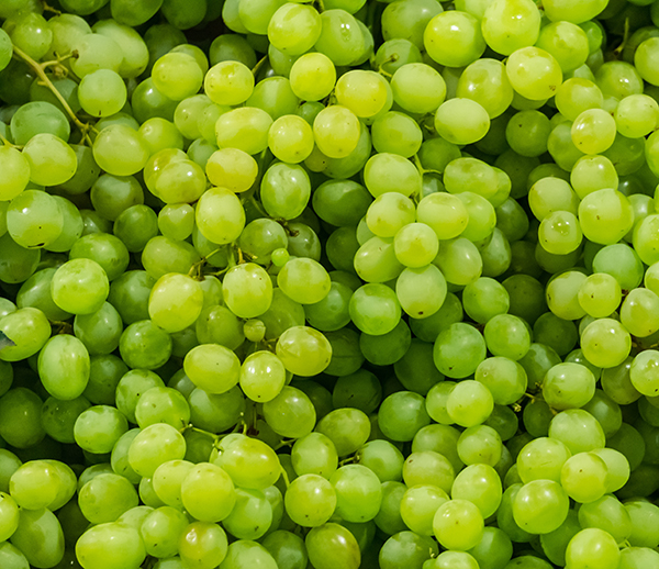 A strategic acquisition has expanded Unifrutti’s table grape platform in Peru, as the company moves to integrate Safco’s production footprint and proprietary varieties across its global network