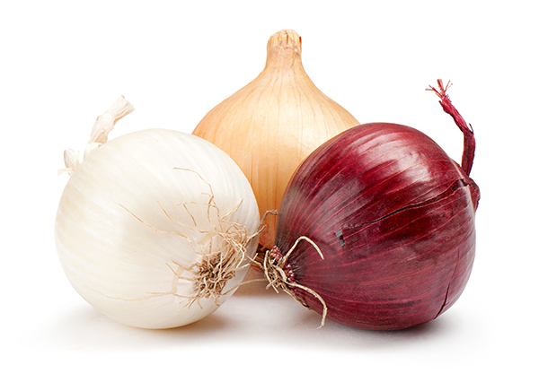 Dry onion markets remained steady this week, supported by good demand across several key growing regions, although wet weather slowed movement in Southern New Mexico