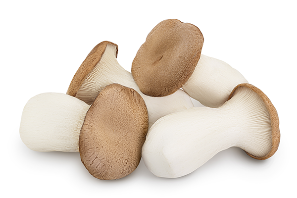 Guan’s Mushroom, a second-generation family-owned specialty mushroom grower and distributor, continues to expand its leadership position in the specialty mushroom category as the largest domestic grower of King Oyster mushrooms in North America