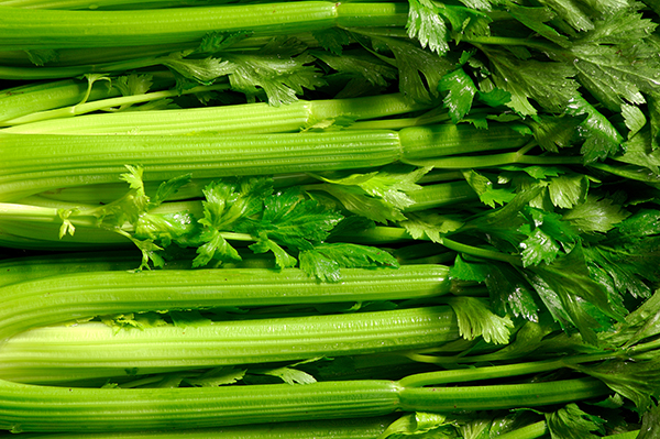 California celery markets showed mixed movement as fairly light to moderate demand continued across growing regions