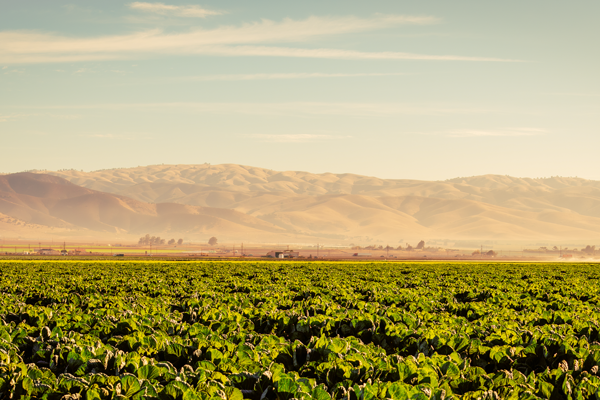 The San Joaquin Valley is expected to see a prolonged period of above-normal heat as a strong high-pressure system settles over California