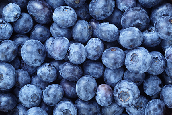 GP Graders has introduced its purpose-built sanitary blueberry grading system - a high-precision machine designed to deliver minimal maintenance downtime, industry-leading softness detection, advanced defect analysis, and operator-friendly control for modern packhouses