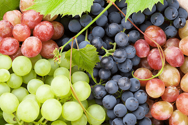 Vista Vineyards announced the appointment of Shawn Caldwell as Director of Sales, bringing more than 30 years of table grape industry experience to the company's newly launched leadership-owned supply platform